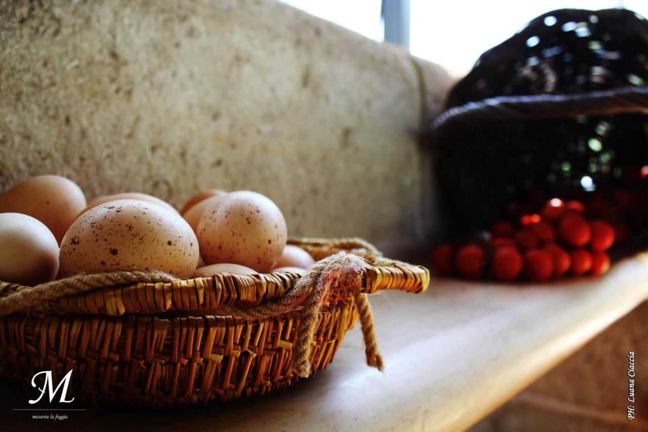 Masseria La Foggia 파사노 외부 사진
