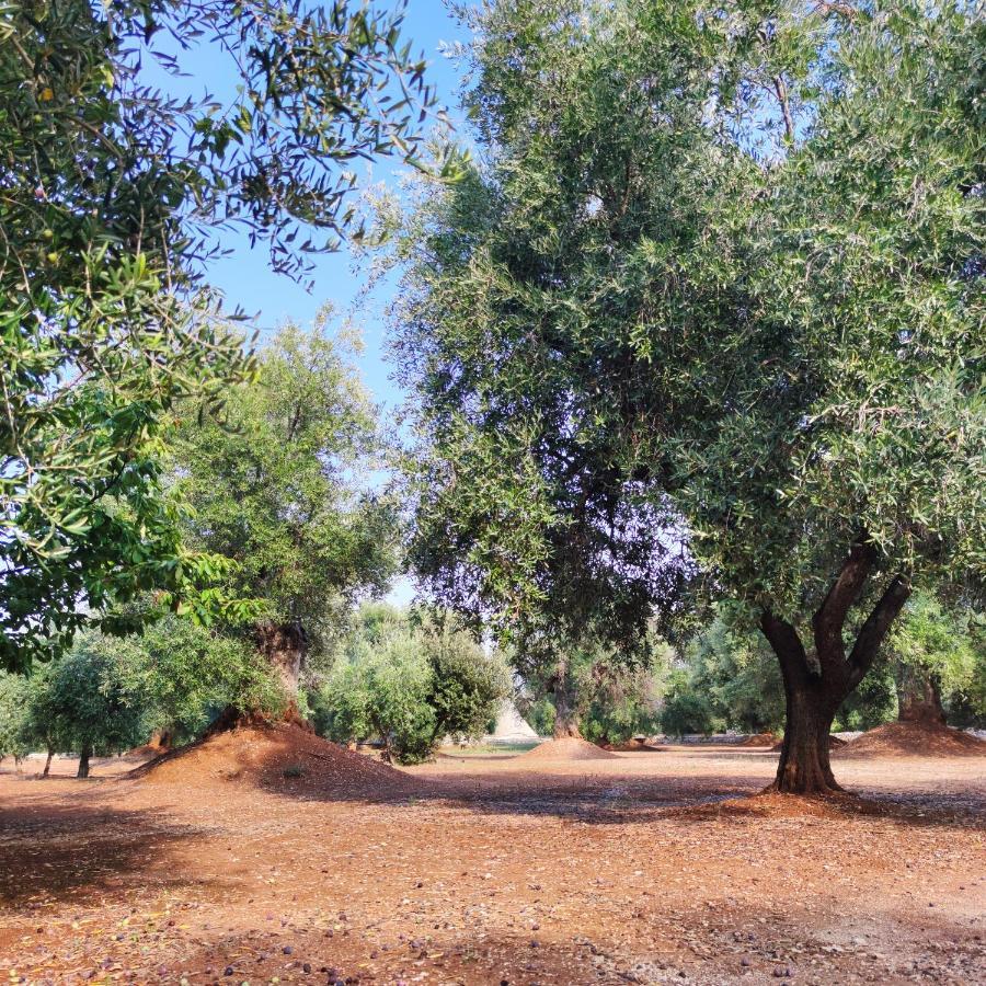 Masseria La Foggia 파사노 외부 사진