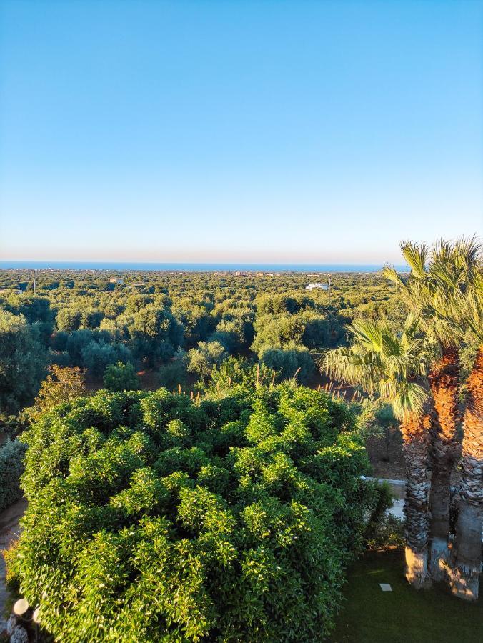 Masseria La Foggia 파사노 외부 사진